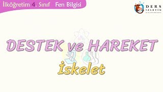 DESTEK VE HAREKETİSKELET [upl. by Yoo903]