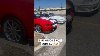 SPOTTED S197 GT500 amp 50 FOX BODY DUO🔥🔥 viral s197mustang foxbodymustang gt500 fypシ゚ [upl. by Eras]