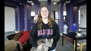 Elmira College PetFriendly Housing [upl. by Ytisahcal]