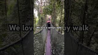 We love a canopy walk [upl. by Lebama]