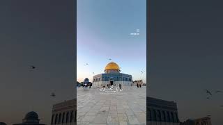 اشتراك من اجل القدس فضلا وليس امرا 💝 [upl. by Odlanyer829]