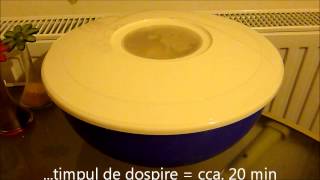 Magie cozonac Bol Mixer Tupperware [upl. by Anola174]