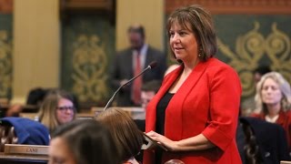 Rep Marilyn Lane Bids Farewell to the Michigan House of Representatives [upl. by Eaver]