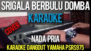 serigala berbulu domba karaoke dangdut nada pria [upl. by Ettenahc]