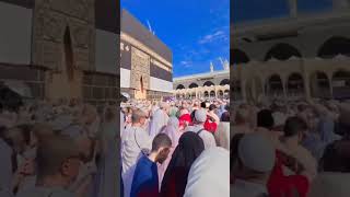 Hajj 2024  madina live shorts short ytshorts makkah madina [upl. by Daitzman]