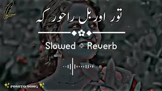 Tor orbal Ra khor ka slowreverb TikTok Viral song 2022 [upl. by Ttergram263]