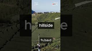 hillside 完全イメージ英単語 00062 [upl. by Bernardina364]