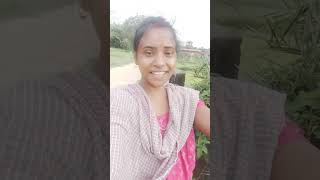 New santhali trading video💘💘💘💘💘 [upl. by Eatnod869]