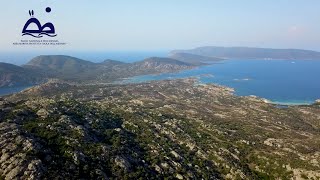 Asinara il cambio della guardia [upl. by Dnyletak960]