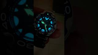 Citizen Promaster Blue Orca 200m lume shot bn023152L [upl. by Ayomat]