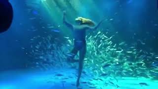 Oceanarium Shanghai Underwater mermaid show [upl. by Hitt]