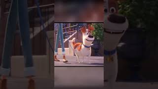 The Secret Life of Pets 2  Dog vs Cats Scene animatedmovie funny animation [upl. by Chalmer]