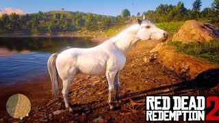 White Arabian Horse Location amp Taming Guide RDR2 [upl. by Marve]