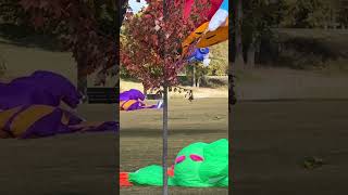 Tweety Bird and Sylvester Kites almost taking off [upl. by Onidranreb357]