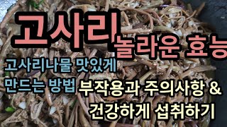 고사리의 놀랍고 다양한 효능 맛있는 고사리나물 만들기  부작용과 주의사항 알고 건강하게 섭취하기 [upl. by Buine]