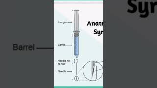 syringe anatomy syringe pump syringe feeding cat syringe asmr syringe feeding kittens [upl. by Stanway]