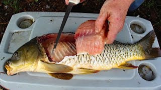 Catch and Cook Carp  How to cook carp  carp fishing tips amp carp recipe [upl. by Hadik]