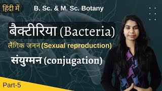 Bacteria in Hindi बैक्टीरिया हिंदी में  लैंगिक जनन  संयुग्मन conjugation  Botany [upl. by North]