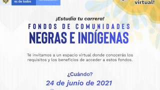 Webinar  Fondo de Comunidades negras e indígenas [upl. by Murdock]