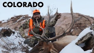 COLORADO ELK HUNT [upl. by Buroker]