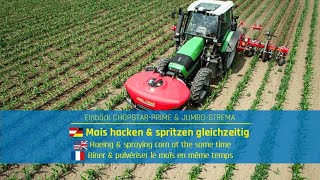 Mais hacken amp spritzen gleichzeitig  Corn hoeing amp spraying  Einböck CHOPSTARPRIME amp JUMBOSTREAM [upl. by Mathian]