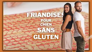 Friandises sans gluten pour chien [upl. by Shelburne]