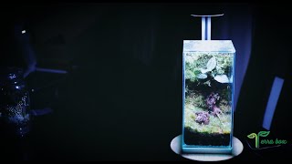 LEDSTAR AQ DOT TERRARIUM LIGHT [upl. by Neroc]