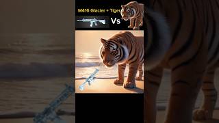 M416 Glacier Vs Tiger M416Glacier PubgViralVideos youtubeshorts ytshorts yt pubgmobile [upl. by Gerrilee]