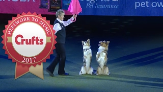 Mary Rays Heelwork To Music Routine at Crufts 2017 [upl. by Macdonell522]