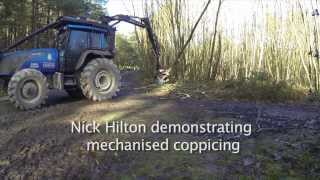 Mechanical Harvesting of Chestnut Coppice [upl. by Lorollas]