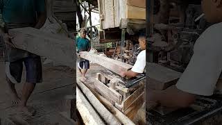 wood splitting machine handsaw lumberjack shortvideo [upl. by Sandra314]