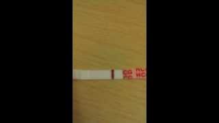 14 dpo pregnancy test Another evap Bad batch Video 1of 4 [upl. by Anehsak248]