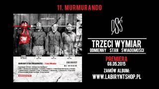 11 Trzeci Wymiar  Murmurando prod Dj Creon cuty Dj Creon gitara Maciej Kozak [upl. by Valdas395]