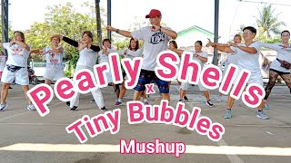 Pearly Shells x Tiny Bubbles Mushup  Retro Dance Fitness  Zumba Dance Workout  Zumbanatics [upl. by Iveson124]