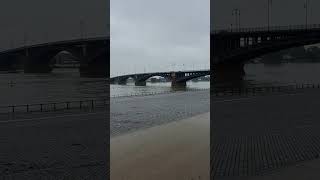 Мост Теодора Хойса Майнц TheodorHeussBrücke travel germany mainz [upl. by Cheke]