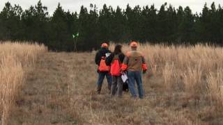 2017 Boykin Spaniel Upland National Intermediate Run 2 [upl. by Ahsait]