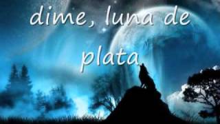 lyrics hijo de la luna [upl. by Yoong20]