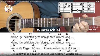 Winterschlaf Kleine Igel schlafen gern  Winterlied für Kinder mit Gitarre Text amp Akkorde [upl. by Keener]