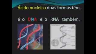 MÚSICA ÁCIDOS NUCLEICOS dna rna música biologia [upl. by Akinam]