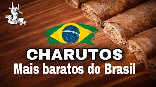 Charutos mais baratos do Brasil [upl. by Ardnasak]