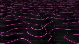 3D Topographic map Elevation graphic contour height purple glow lines able to loop endless [upl. by Caine138]