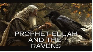 Prophet Elijah And The Ravens Bible Stories Explained [upl. by Ajar445]