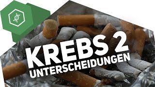 Gutartige und bösartige Tumore – Unterschied – Krebs 2 [upl. by Timrek]