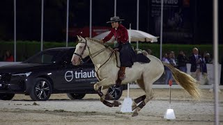 World championship of working equitation speed test Nicole e Inca [upl. by Barber]