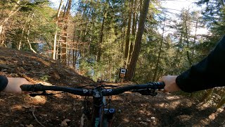 Heartbeat Trail first part Bikepark Thunersee [upl. by Ellocin398]