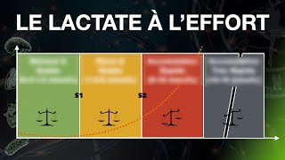 Pourquoi le lactate augmente dans le sang [upl. by Aramac]