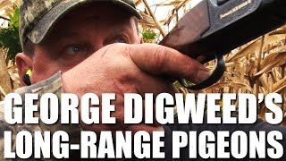 George Digweed shoots LongRange Pigeons [upl. by Nafis]