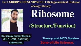 RIBOSOME StructureFunction CSIRGATEBSCMSC RPSCMPPSCHPSCBPSC PGT BIOLOGY ZOOLOGYBOTANY [upl. by Vieva]