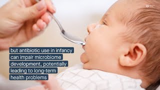 A prebiotic  probiotic mixture alleviates clindamycininduced microbiome disruption in young mice [upl. by Tiersten]