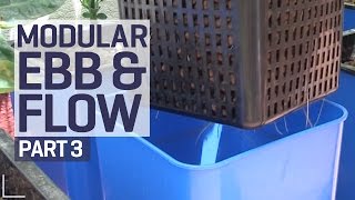 How to set up an Ebb amp Flow  Flood amp Drain Hydroponics Growing System  Pest Control  PART 3 of 6 [upl. by Nodyl]